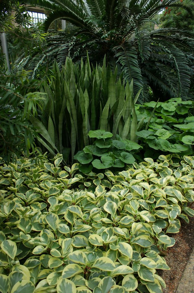Projeto de Jardinagem
